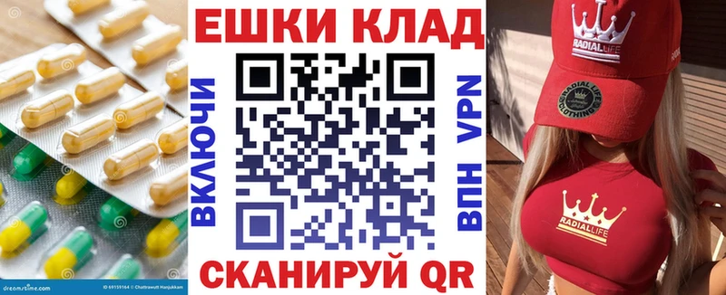 дарнет шоп  Кадников  Ecstasy Punisher 