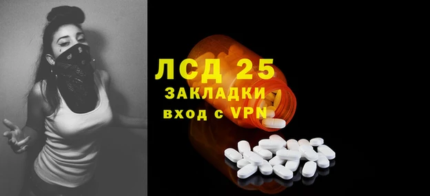 СК Осинники