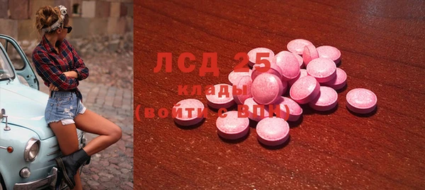 СК Осинники
