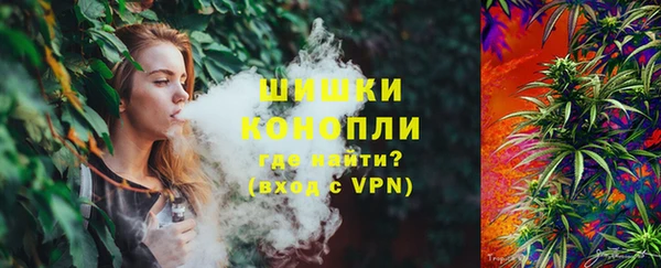 СК Осинники